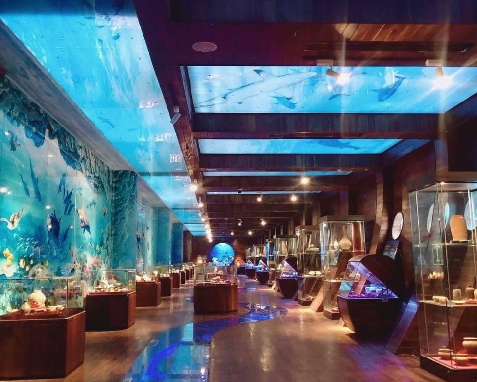 NGÀY 1: TP.HCM - VŨNG TÀU - BẢO TÀNG TỈNH BR-VT