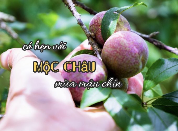 Cùng bạn đi muôn nơi