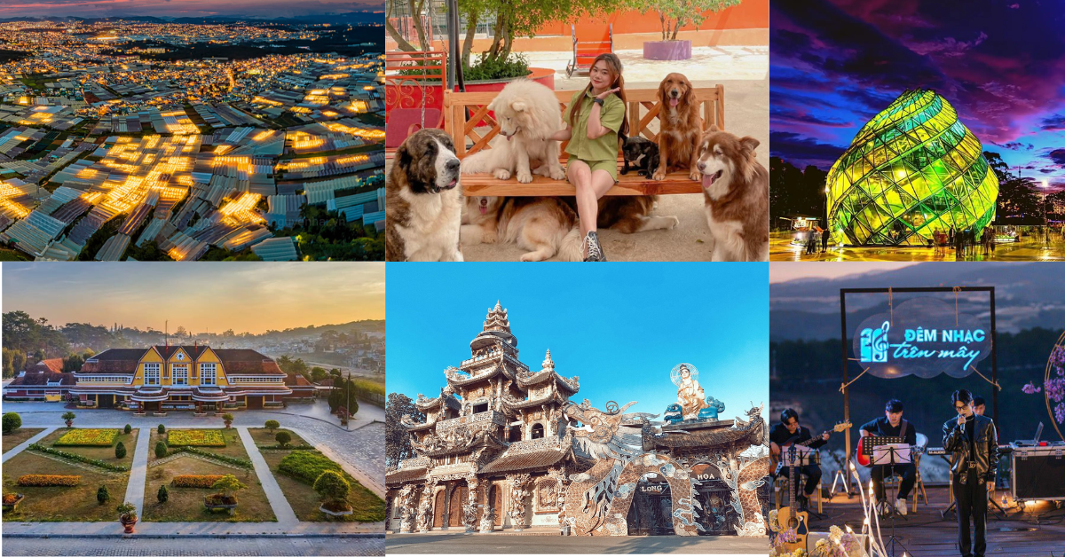 NGÀY 02: THUNG LŨNG ĐÈN – QUẢNG TRƯỜNG – CHÙA LINH PHƯỚC – GA ĐÀ LẠT – PUPPY FARM – BUFFET RAU - NGHE NHẠC ACOUSTIC