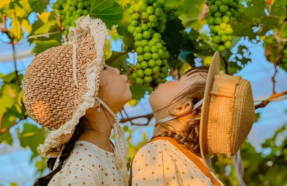 NGÀY 3: NHA TRANG – PHAN THIẾT - TP.HCM 