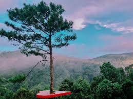 NGÀY 03: ĐÀ LẠT – TPHCM