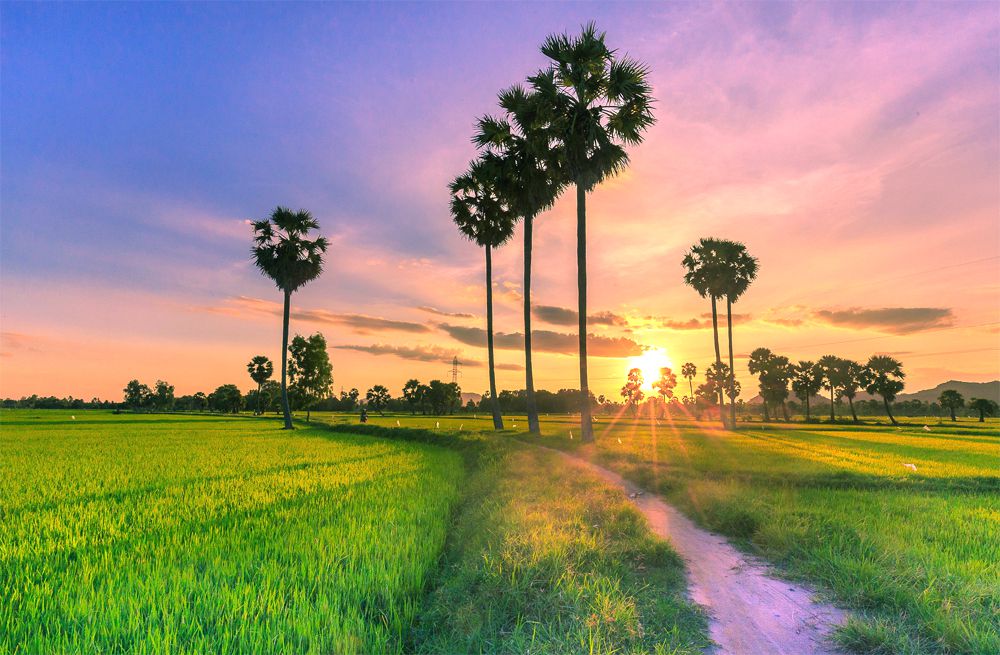 Cùng bạn đi muôn nơi