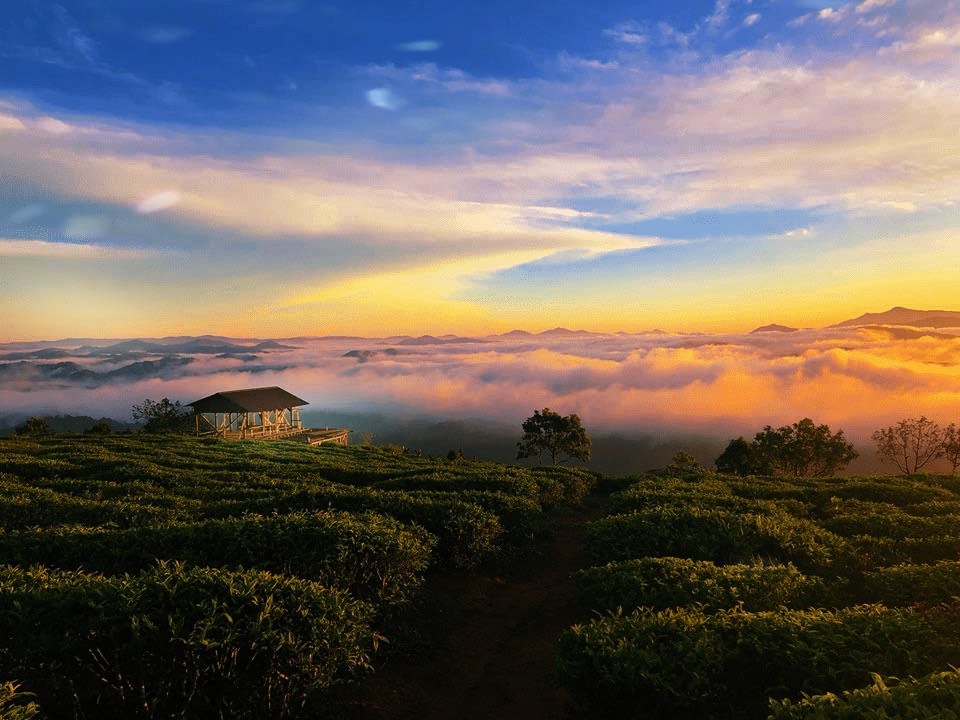 Cùng bạn đi muôn nơi