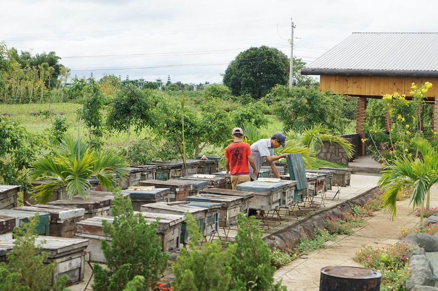 Bee Farm